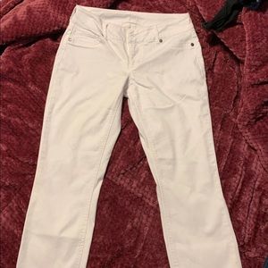 Maurices jeggings